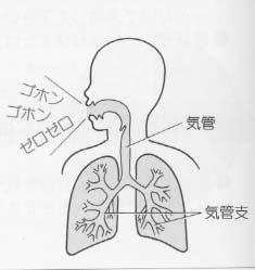 acute-bronchitis-01.jpg