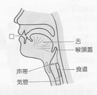 epiglottitis-01.jpg